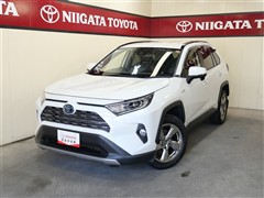 トヨタ RAV4 ハイブリッドG