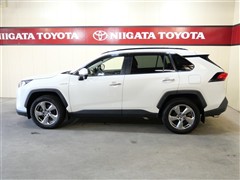 RAV4 ハイブリッドG