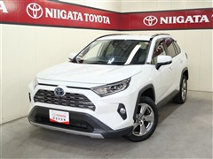 RAV4 ハイブリッドG
