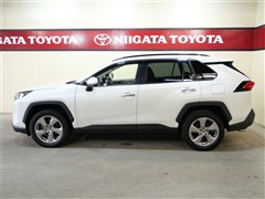 RAV4 ハイブリッドG