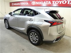 NX300h Iパッケージ
