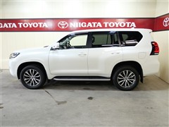 ランドクルーザープラド TZ-G