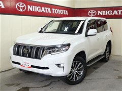 トヨタ ランドクルーザープラド TZ-G