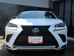 NX300h Fスポーツ