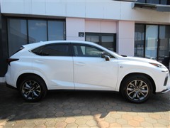 NX300h Fスポーツ