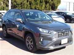 RAV4 G