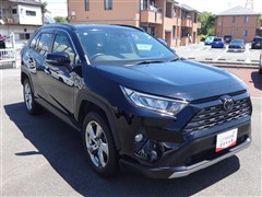 RAV4 G
