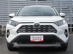 RAV4 G