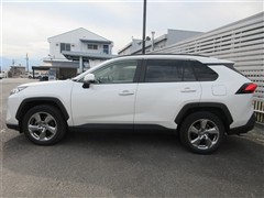 RAV4 G