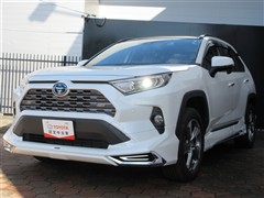 トヨタ RAV4 ハイブリッドG