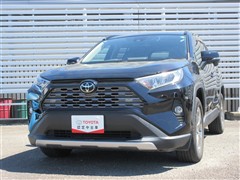 RAV4 G