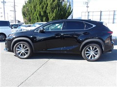 NX200t Fスポーツ