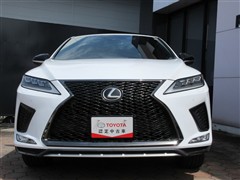 RX300 F-SPORT
