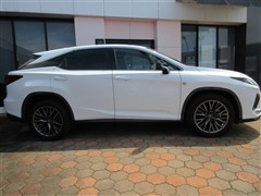 RX300 F-SPORT