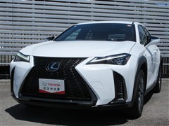 UX250h ヒョウジュンシャ