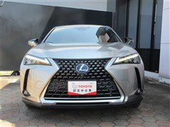 UX250h バージョンL