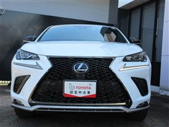 NX300h Fスポーツ