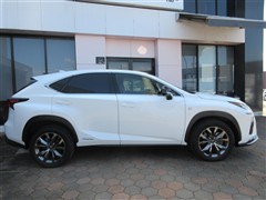 NX300h Fスポーツ