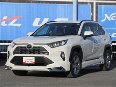 RAV4 G