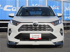 RAV4 G