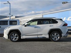 RAV4 G