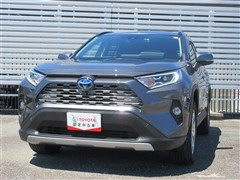 RAV4 ハイブリッドG