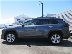 RAV4 ハイブリッドG