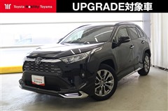 RAV4 G Zパッケージ