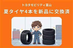 ライズ Z