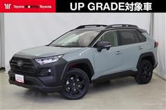 トヨタ RAV4 AD オフロード PKG2