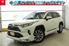 トヨタ RAV4 G Zパッケージ