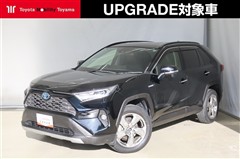 RAV4 ハイブリッドG