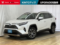 RAV4 ハイブリッドG