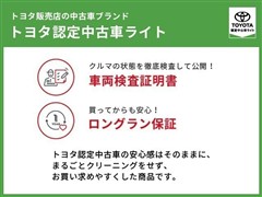 カローラツーリング HEV WxB