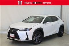 UX250h バージョンC