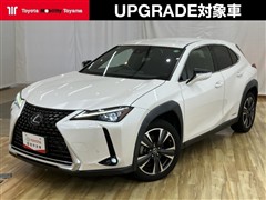 UX250h バージョンC