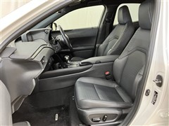 UX250h バージョンC