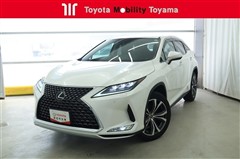 RX300 バージョンL