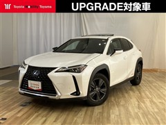 UX250h バージョンC