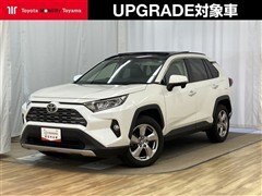 RAV4 G