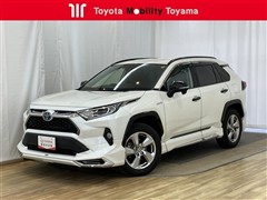 RAV4 ハイブリッドX