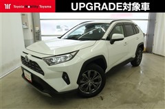 RAV4 G