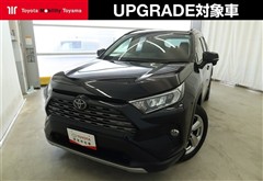 RAV4 G
