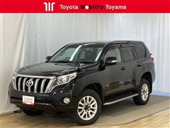 ランドクルーザープラド TZ-G