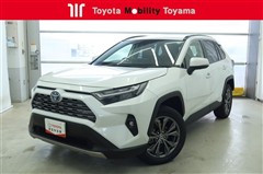 RAV4 ハイブリッドG