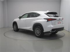 NX300h Iパッケージ