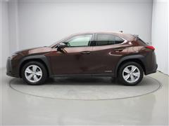 UX250h バージョンC