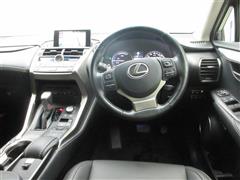 NX300h Iパッケージ