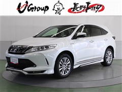 ハリアーHEVプロ メタル&レザー