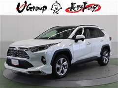 トヨタ RAV4 ハイブリッドG